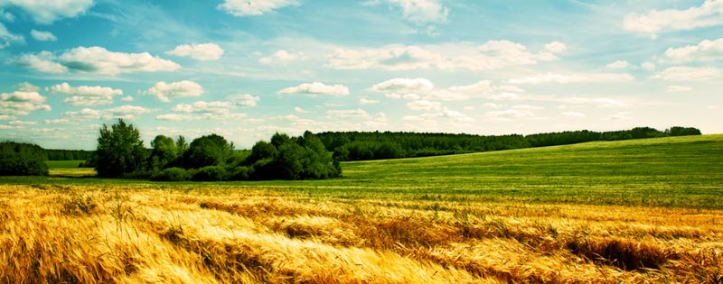 Best rural internet options 2017