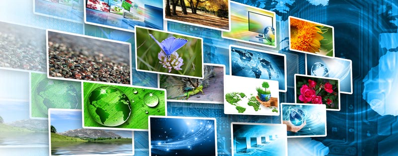 What is the best option for tv cable